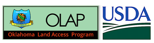 Commission Learns About OLAP’s Success During First Season