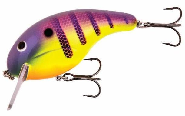 A Square Bill Crankbait That Talks to the Fish