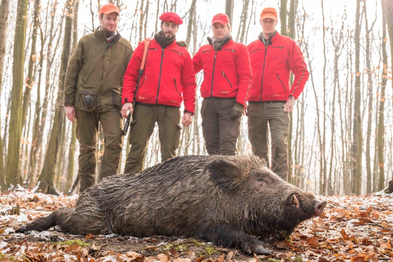 Wild Boar Invade Outdoor Channel with North American debut of  “Wild Boar Fever” on July 7 at 6 p.m. ET
