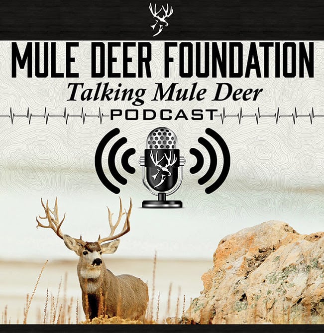 MDF Podcast Talking Mule Deer Ep.12 Colorado Mule Deer – Marty Holmes & Andy Holland