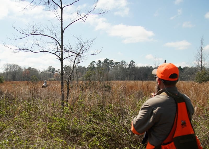 Southeast Bobwhite Country Sees Major Influx of New Quail Forever Chapter Starts