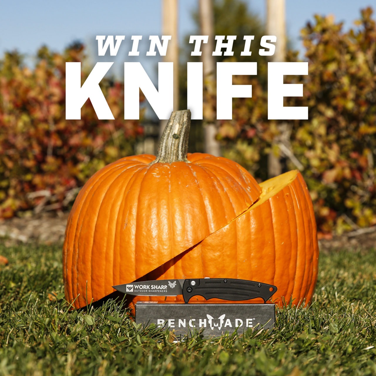Work Sharp Outdoor Promotes Knife Safety  with Pumpkin Carving Contest