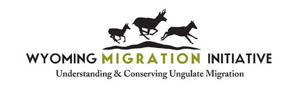 MDF Podcast Talking Mule Deer Ep.17 Wyoming Migration Initiative