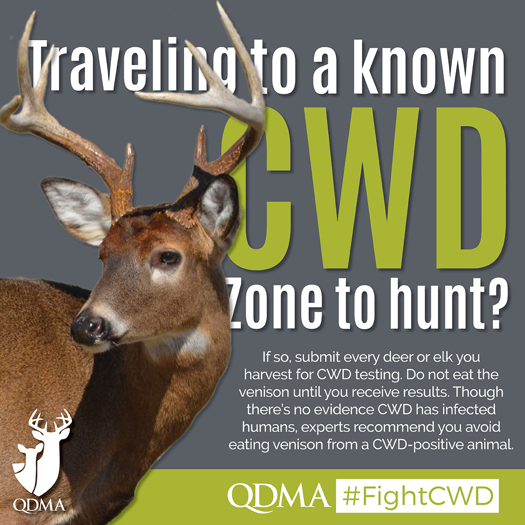 QDMA to Deer Hunters: We Can All #FightCWD