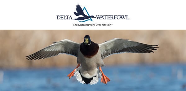 Delta Waterfowl Welcomes NationalGunTrader as a ‘Champion of Delta’ Corporate Sponsor