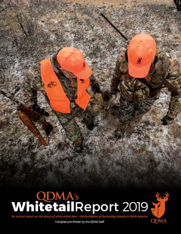 Buck Harvest Up, Doe Harvest Down: QDMA’s 2019 Whitetail Report
