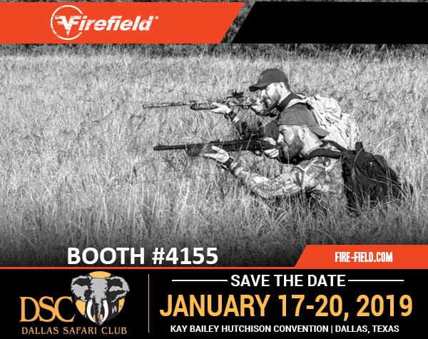 Explore DSC 2019 with Firefield!