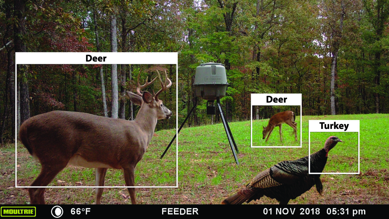 Moultrie Mobile Now Offers Image Recognition