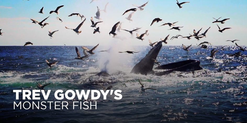 Outdoor Channel’s “Trev Gowdy’s Monster Fish” Brings a Frenzy of Fishing Action on Sundays at 8:30 p.m.