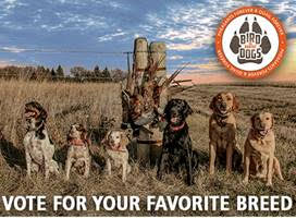 “Bird Dogs for Habitat” Campaign: Cast a Vote, Back Your Breed, Create Cover