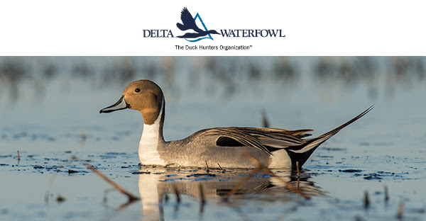 Delta Waterfowl Renews Legacy Sports International as a Corporate Sponsor