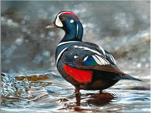 New York Youth Wins U.S. Fish and Wildlife Service 2019 National Junior Duck Stamp Art Contest