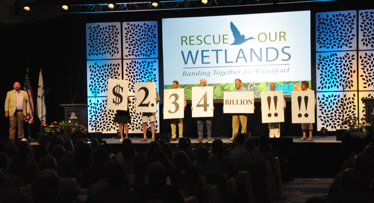 Ducks Unlimited’s Rescue Our Wetlands campaign a huge success