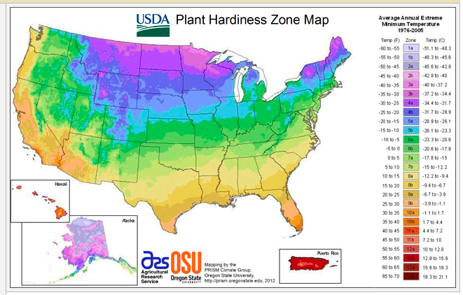 CHESTNUT HILL OUTDOORS: PLANT HARDINESS ZONES