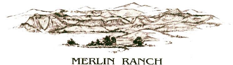 Merlin Ranch Platinum-Level Sponsor of  2019 Wyoming Women’s Antelope Hunt