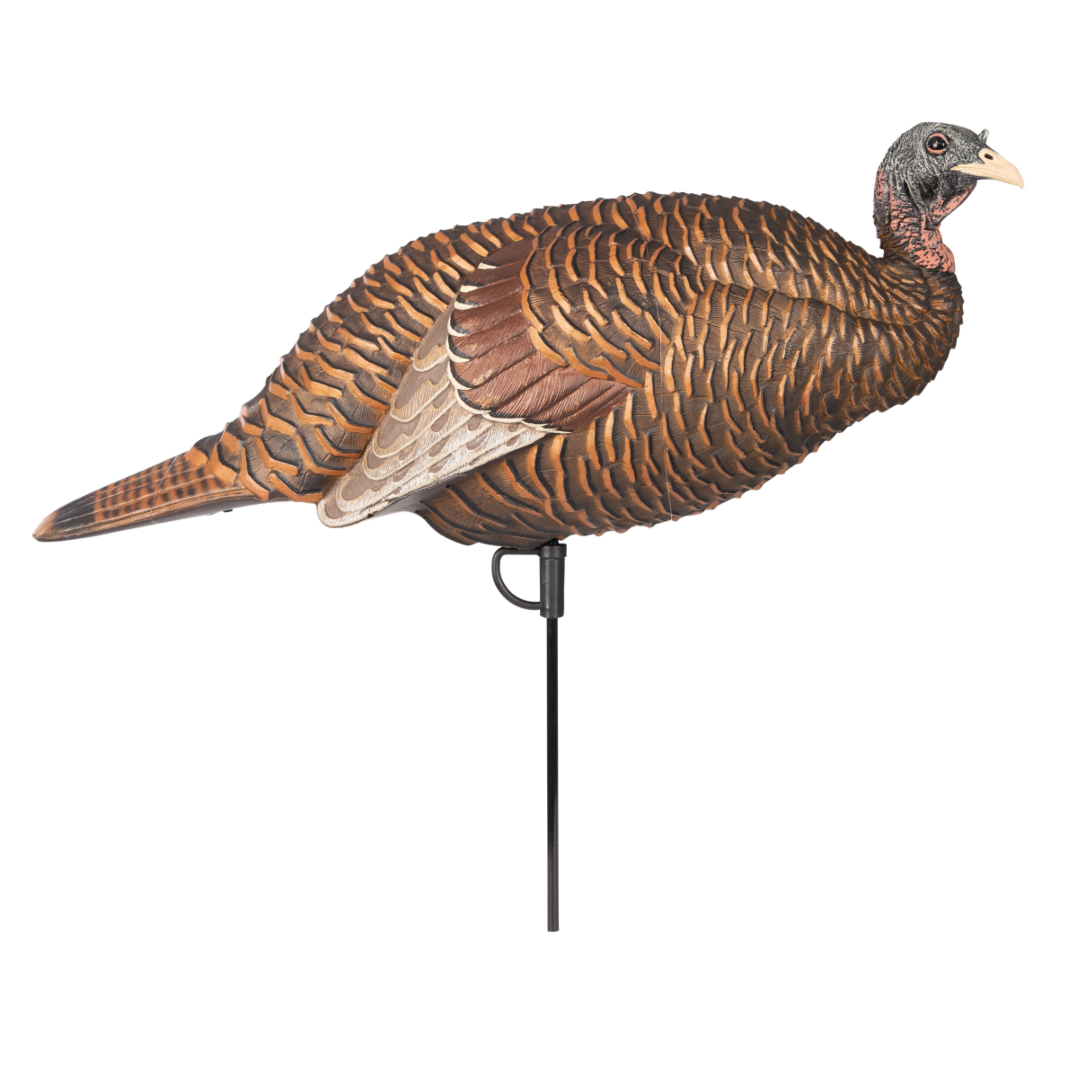 Bring in Gobblers with This  Hot New Decoy