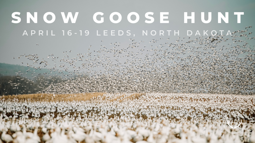 Savage Arms Teams Up with Her Wilderness for Epic Snow Goose Hunt