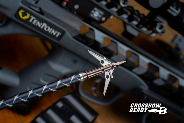 SEVR ROBUSTO™ BROADHEAD FOR CROSSBOW INTRODUCED