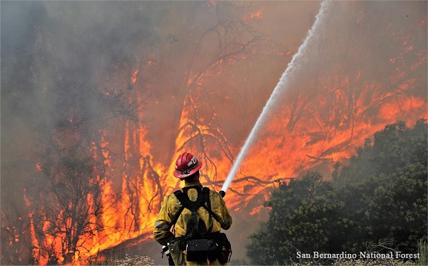 NWTF applauds introduction of Bipartisan Emergency Wildfire and Public Safety Act