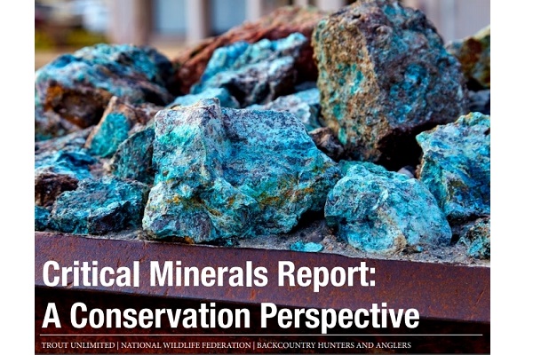 New Report Explores Conservation and Critical Minerals