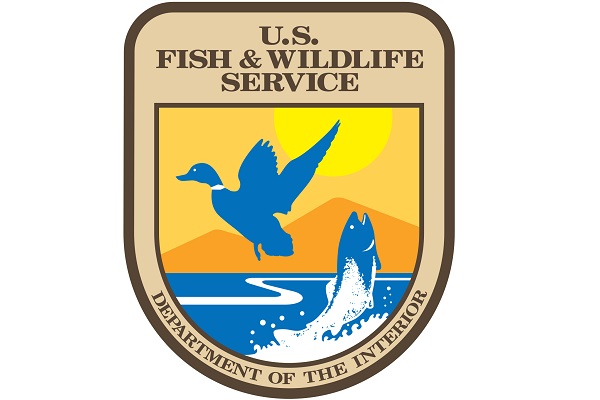 Join the U.S. Fish and Wildlife Service for the 2021 Virtual Federal Duck Stamp Art Contest