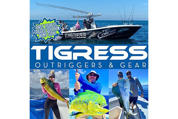 Catch the First Tigress-Tagged Dolphin in the CCA Florida STAR Tournament and Win $10,000!