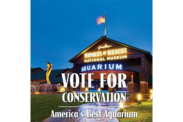 One Week Left to Vote for Johnny Morris’ Wonders of Wildlife as “America’s Best Aquarium”