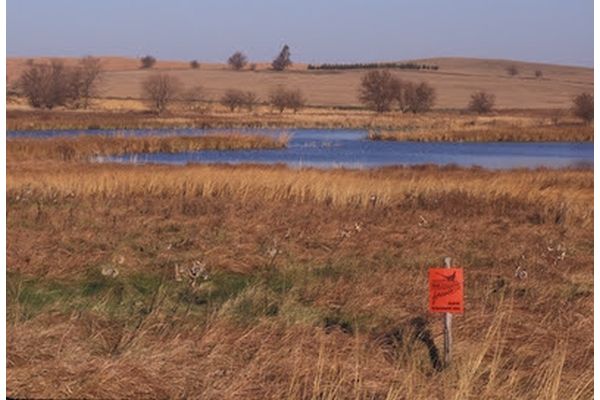 Pheasants Forever and Quail Forever Receive Grant Funding From the North American Wetlands Conservation Act