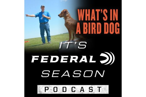 What’s in a Bird Dog on “It’s Federal Season” Podcast