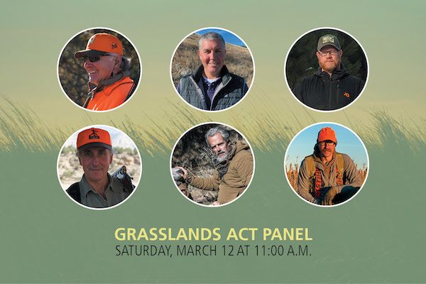 Conservation CEOs to Headline Grasslands Act Panel at 2022 National Pheasant Fest & Quail Classic in Omaha