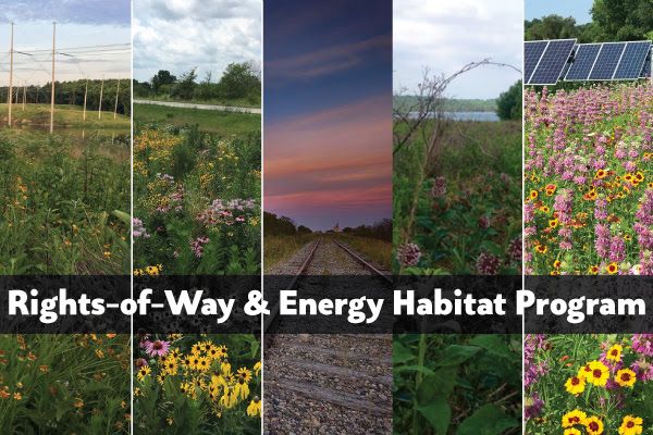 Pheasants Forever and Quail Forever Announce Nationwide Habitat Program for Rights-of-Way