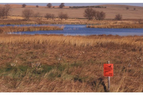 Pheasants Forever and Quail Forever’s Chief Conservation Officer Appointed to North American Wetlands Conservation Council by Secretary Haaland