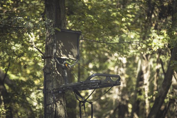 A Beast in the Trees – Millenniums M150 Monster Hang-On Stand