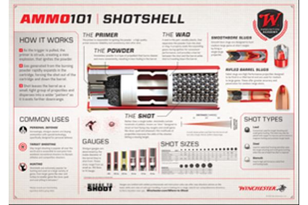 Winchester® Launches Educational ‘Introduction to Ammunition-Ammo 101’ Series