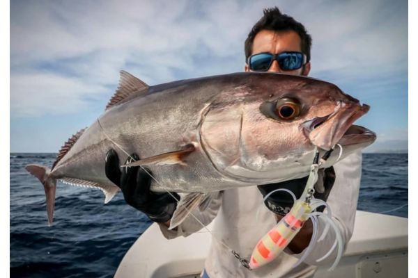 A Soft Approach to Slow Pitch Jigging: The Sea Falcon® Slow Squid